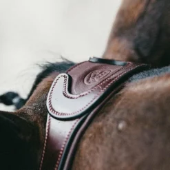 Jump'In - Têtière + rênes Evolution noisette