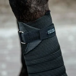 Kentucky Horsewear - Bandes de polo élastiques noir (x2)