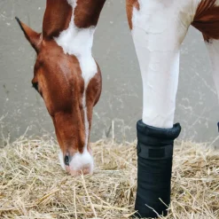 Kentucky Horsewear - Bandes de repos Repellent noir (x4)