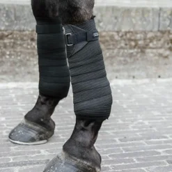 Kentucky Horsewear - Bandes de travail élastiques noir (x2)