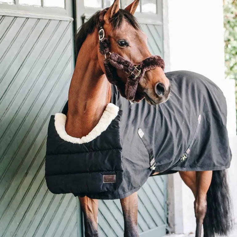 Kentucky Horsewear - BIB Protection de poitrail/garrot noir