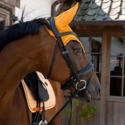 Kentucky Horsewear - Bonnet pour chevaux Wellington Velvet Printing flags orange