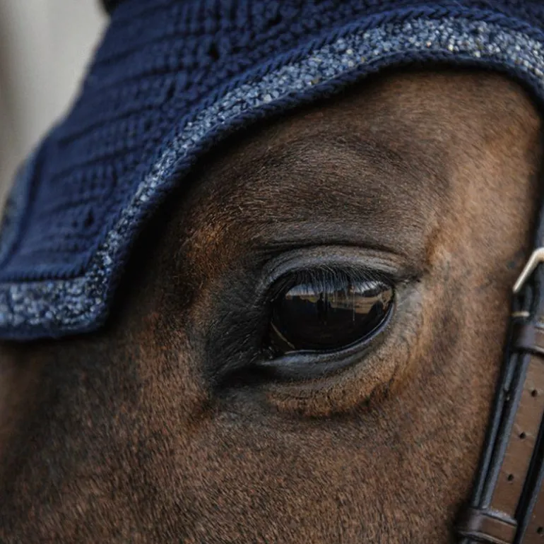 Kentucky Horsewear - Bonnet pour cheval Wellington Glitter Stone marine