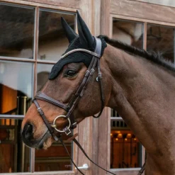 Kentucky Horsewear - Bonnet Wellington anti-bruit noir