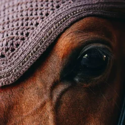 Kentucky Horsewear - Bonnet Wellington Sparkling Anti-bruits marron