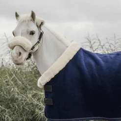 Kentucky Horsewear - Chemise séchante Show Heavy Mini