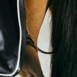 Kentucky Horsewear - Chemise séchante Vegan Wool noir