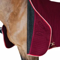 Kentucky Horsewear - Chemise séchante Protherm bordeaux
