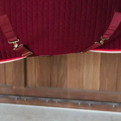 Kentucky Horsewear - Chemise séchante Protherm bordeaux