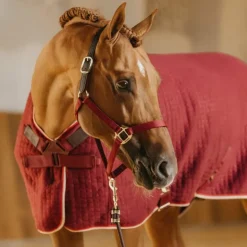 Kentucky Horsewear - Chemise séchante Protherm bordeaux