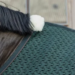 Kentucky Horsewear - Chemise séchante 4D spacer vert sapin