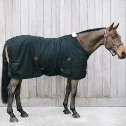 Kentucky Horsewear - Chemise coton noir 0g