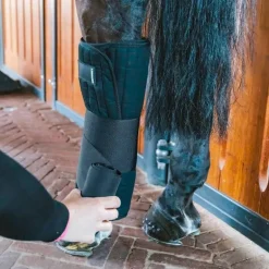 Kentucky Horsewear - Coton Stable Bandage Wraps noir (x4)