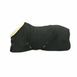 Kentucky Horsewear - Couverture de présentation Vert 160g