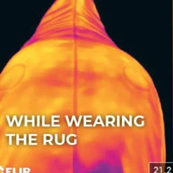 Kentucky Horsewear - Couvre-cou Recuptex marine 0g