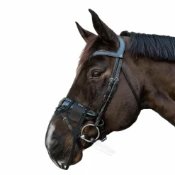 Kentucky Horsewear - Filet de nez anti-mouches noir