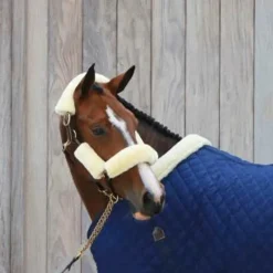 Kentucky Horsewear - Fourreaux de licol mouton blanc 4 pcs