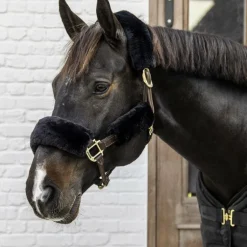 Kentucky Horsewear - Fourreaux de licol mouton noir 4 pcs