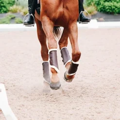 Kentucky Horsewear - Guêtres cheval Turn Out cuir postérieurs marron x2