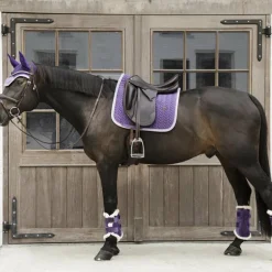 Kentucky Horsewear - Guêtres fermées cuir velvet contrast violet royal x2