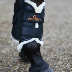 Kentucky Horsewear - Guêtres cheval Turn Out cuir antérieurs noir x2