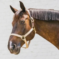 Kentucky Horsewear - Licol nylon Breakaway beige