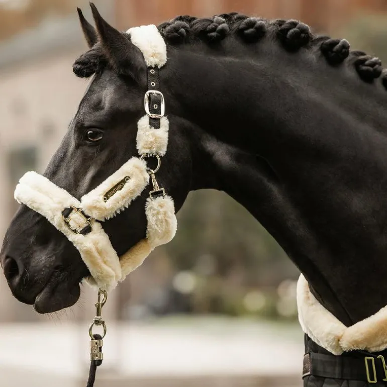 Kentucky Horsewear - Licol de transport mouton blanc