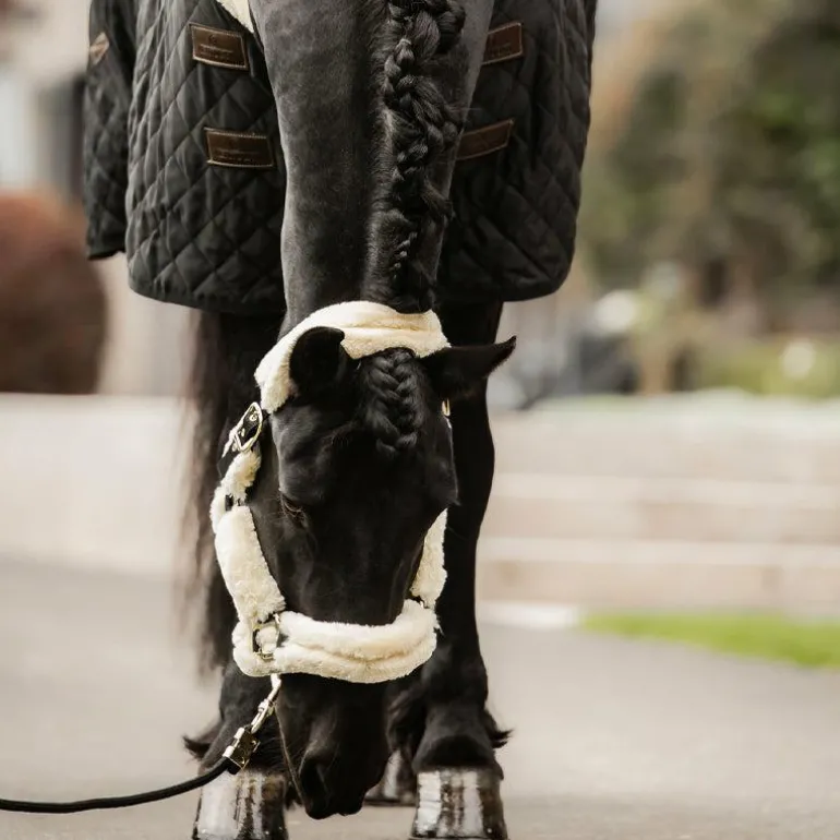 Kentucky Horsewear - Licol de transport mouton blanc