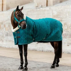 Kentucky Horsewear - Licol Velvet émeraude