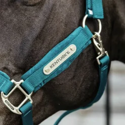 Kentucky Horsewear - Licol Velvet émeraude