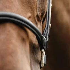 Kentucky Horsewear - Licol anatomique en cuir vegan noir