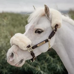 Kentucky Horsewear - Licol en cuir mouton pour Minis