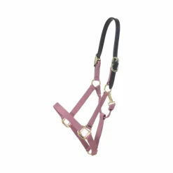 Kentucky Horsewear - Licol nylon Breakaway vieux rose