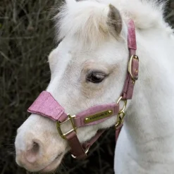 Kentucky Horsewear - Licol velvet paillette vieux rose