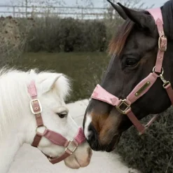 Kentucky Horsewear - Licol velvet paillette vieux rose