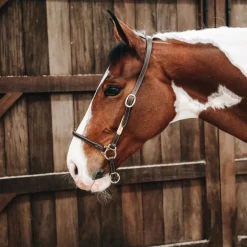 Kentucky Horsewear - Licol de pansage