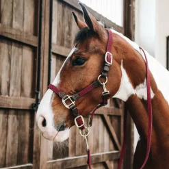 Kentucky Horsewear - Licol nylon tressé bordeaux