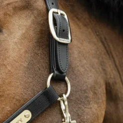 Kentucky Horsewear - Licol anatomique nylon noir