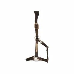 Kentucky Horsewear - Licol cheval anatomique