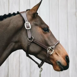 Kentucky Horsewear - Licol cheval anatomique