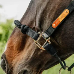 Kentucky Horsewear - Licol cheval Control