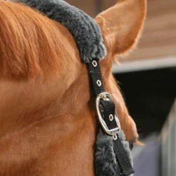 Kentucky Horsewear - Licol de transport mouton gris