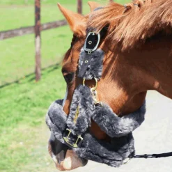 Kentucky Horsewear - Licol de transport mouton gris