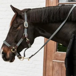 Kentucky Horsewear - Longe nylon tressé gris 2 m