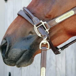 Kentucky Horsewear - Longe de présentation recouverte de cuir