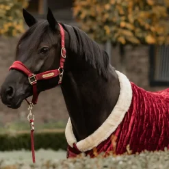 Kentucky Horsewear - Longe nylon 2m bordeaux