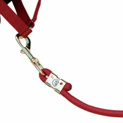Kentucky Horsewear - Longe Rope Basic rouge 2m