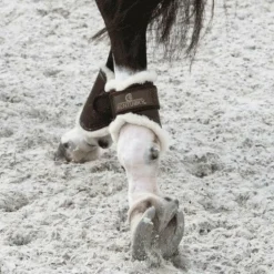 Kentucky Horsewear - Protège-boulets turnout cuir marron