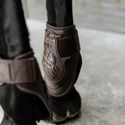 Kentucky Horsewear - Protège-boulets Deep marron choco