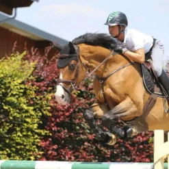 Kentucky Horsewear - Sangle bavette marron